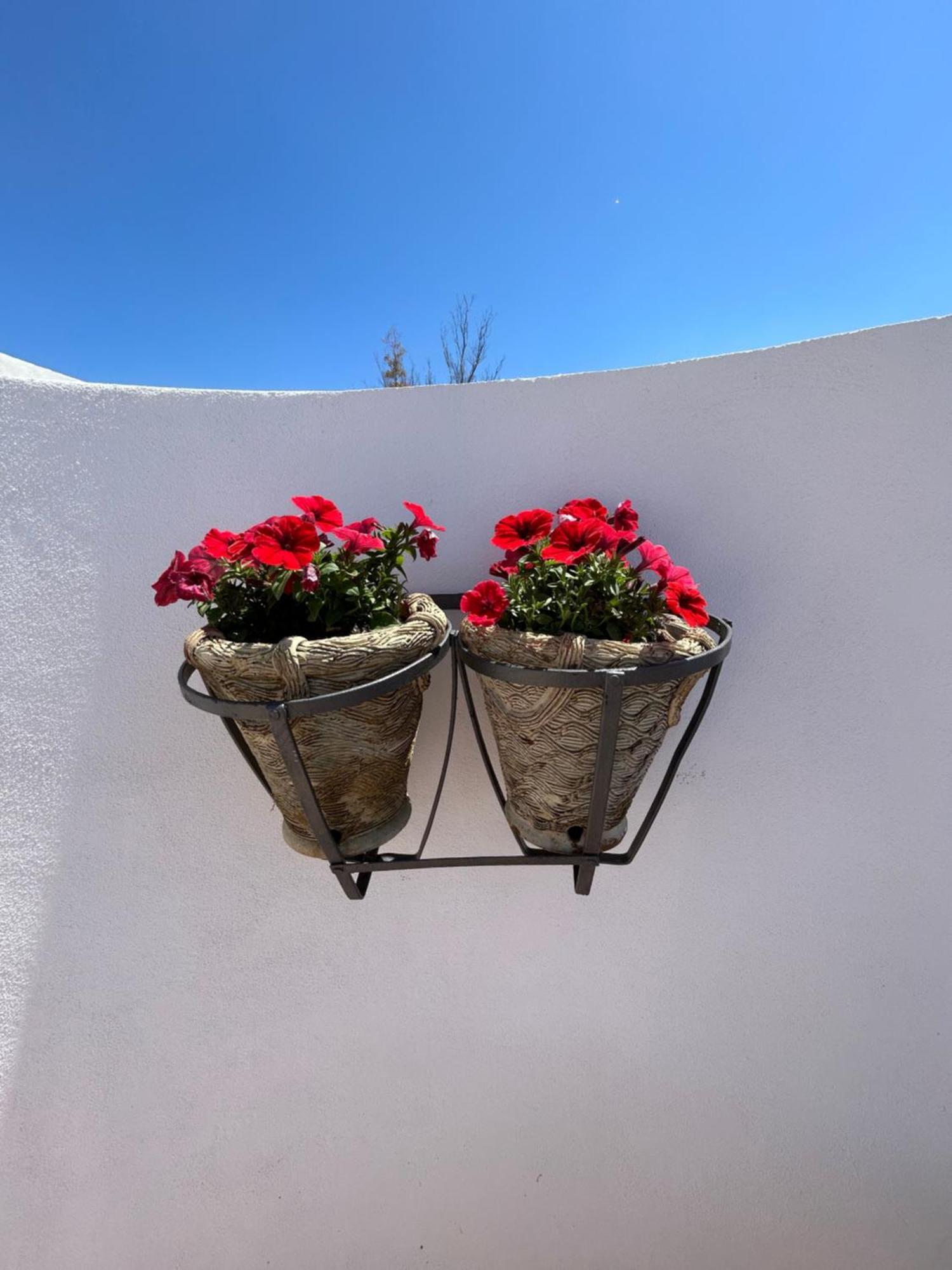 לינה וארוחת בוקר אגריג'נטו La Casa Di Pippo Flora מראה חיצוני תמונה